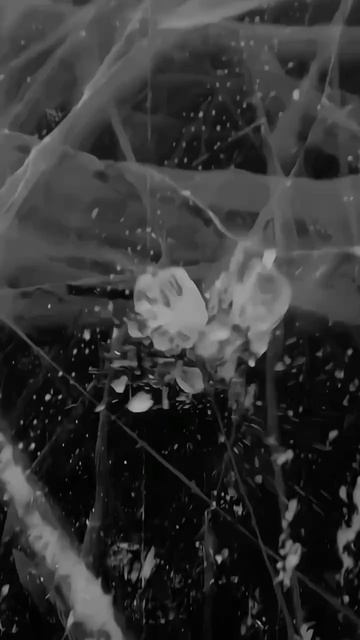 Знаешь братка... смотреть онлайн