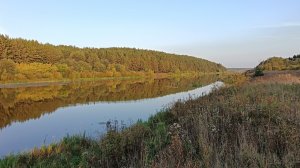 Увлекательная экспедиция в уральскую пустыню за золотыми самородками