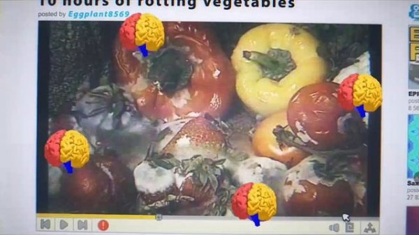 Клип: глупость в тренде... Гамбол