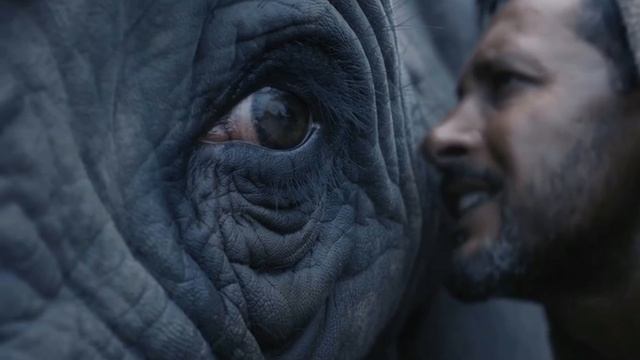 Коран Сура 105 аль-Филь - Слон смотреть онлайн