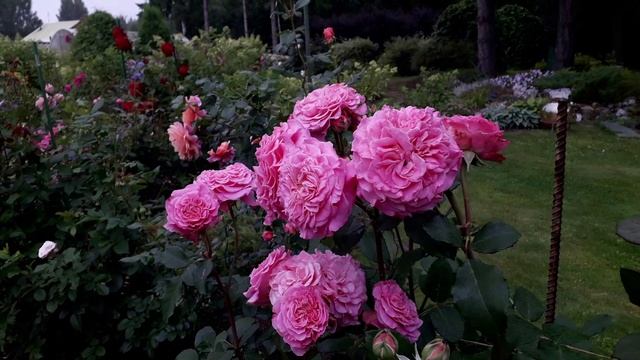 Июль на даче 2025 смотреть онлайн