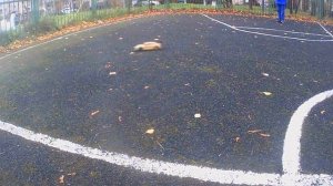 Последний арабский дрифт (все серии)