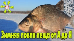 Зимняя ловля леща в палатке с комфортом от А до Я. Оборудование, снасти, прикорма и быт.