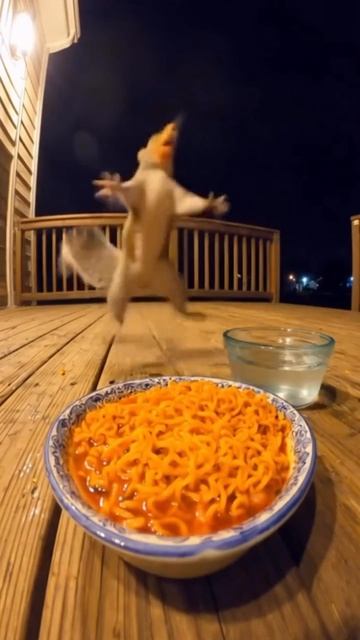 Белка кушает острую лапшу кричит запивает водой сгенерировано ии