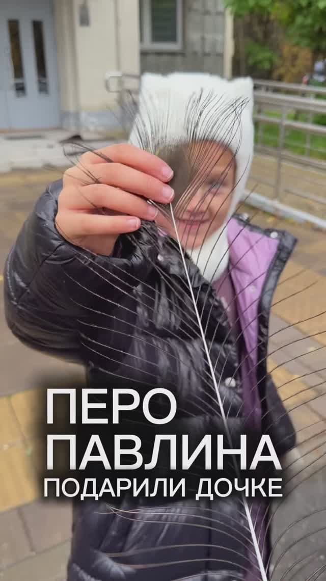 Перо павлина смотреть онлайн