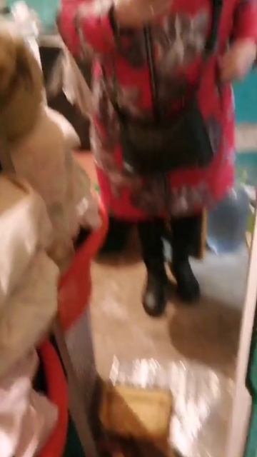 28-10-2025 пошла у город смотреть онлайн