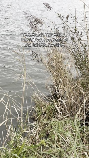 Осень в Сибири | Отдых в России смотреть онлайн