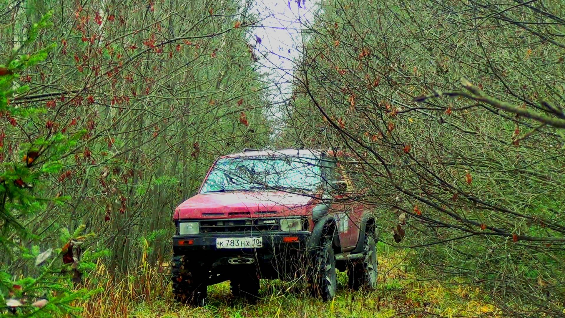 Ближний металлокоп. Недоступны места, поля. Поиск металла на лесозаготовке 1940-1950Г смотреть онлайн