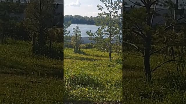 Наша веложизнь. Катались в центре по набережной смотреть онлайн