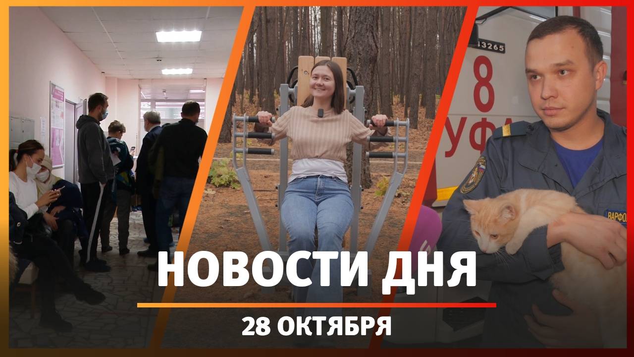 Новости Уфы и Башкирии 28.10.25: пациенты-шпионы, новые спортплощадки и кот-спасатель
