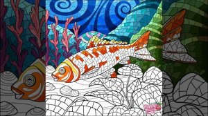 Бонус 2161-2170