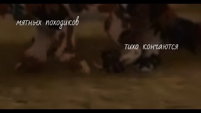 Это так