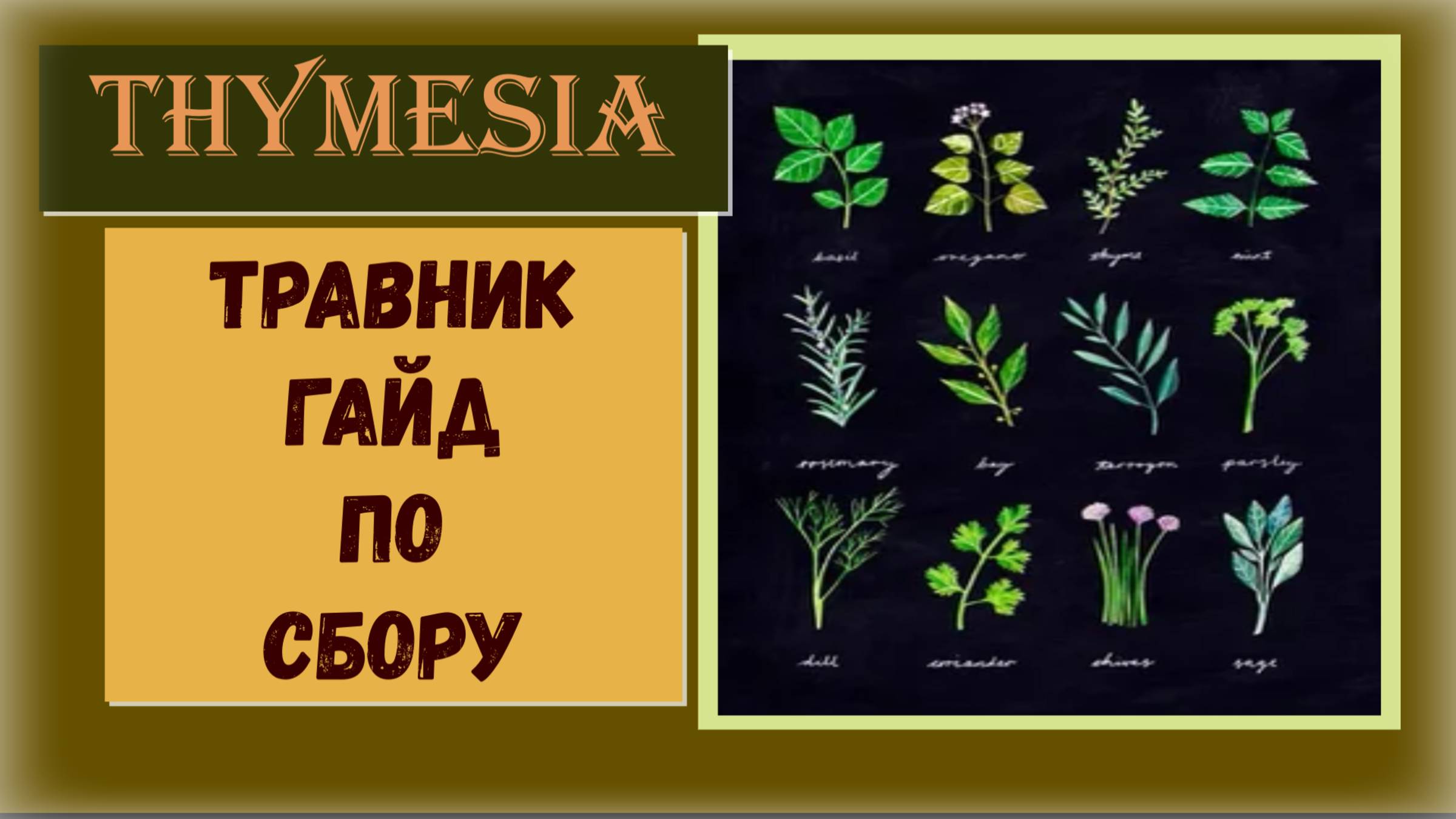 Thymesia Как и где собрать - фармить ингредиенты для зелий трофей «Травник» (видео гайд) смотреть онлайн