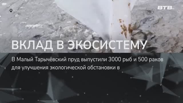 ВКЛАД В ЭКОСИСТЕМУ смотреть онлайн