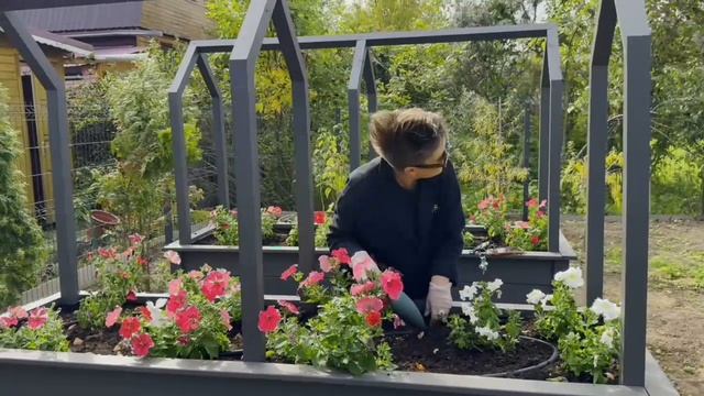 в эфире ТЮЛЬПАНЫ в высоких грядках🌷🌷🌷 Вы заказывали красоту для весны? А она есть у нас 🤌🏻 смотреть онлайн