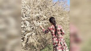 Новая Цыганская песня