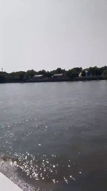 Прогулка на теплоходе смотреть онлайн