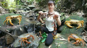 Ловлю крабов и готовлю их. Плохой парень хотел ограбить ферму. Жизнь во Вьетнаме