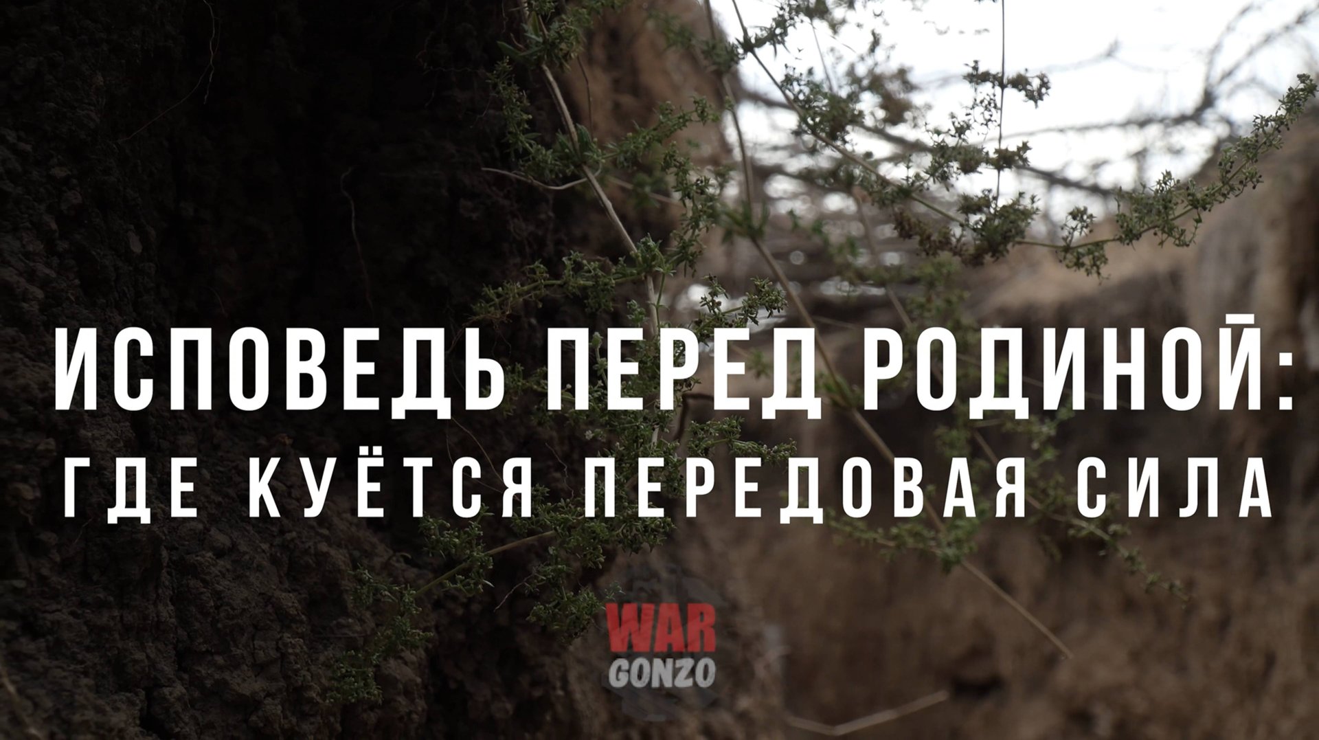 Спецрепортаж WG «Исповедь перед Родиной: где куётся передовая сила» смотреть онлайн