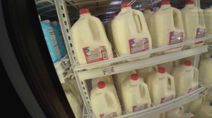 Дальнобой в США на степдеке с пчёлами — пчеловоз в рейсе