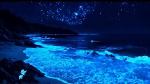 Тишина ночи - Спокойная музыка для сна и отдыха, фоновая музыка для расслабления