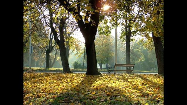 КРАСИВЫЕ ПЕЙЗАЖИ ПОГОДЫ