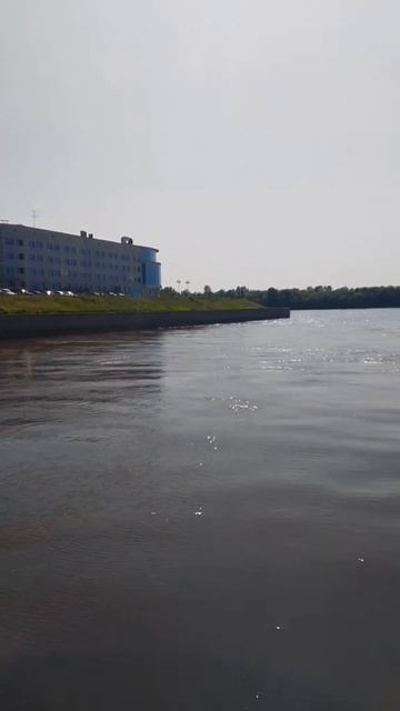 Отплываем смотреть онлайн