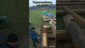Правильная укладка моха в сруб.