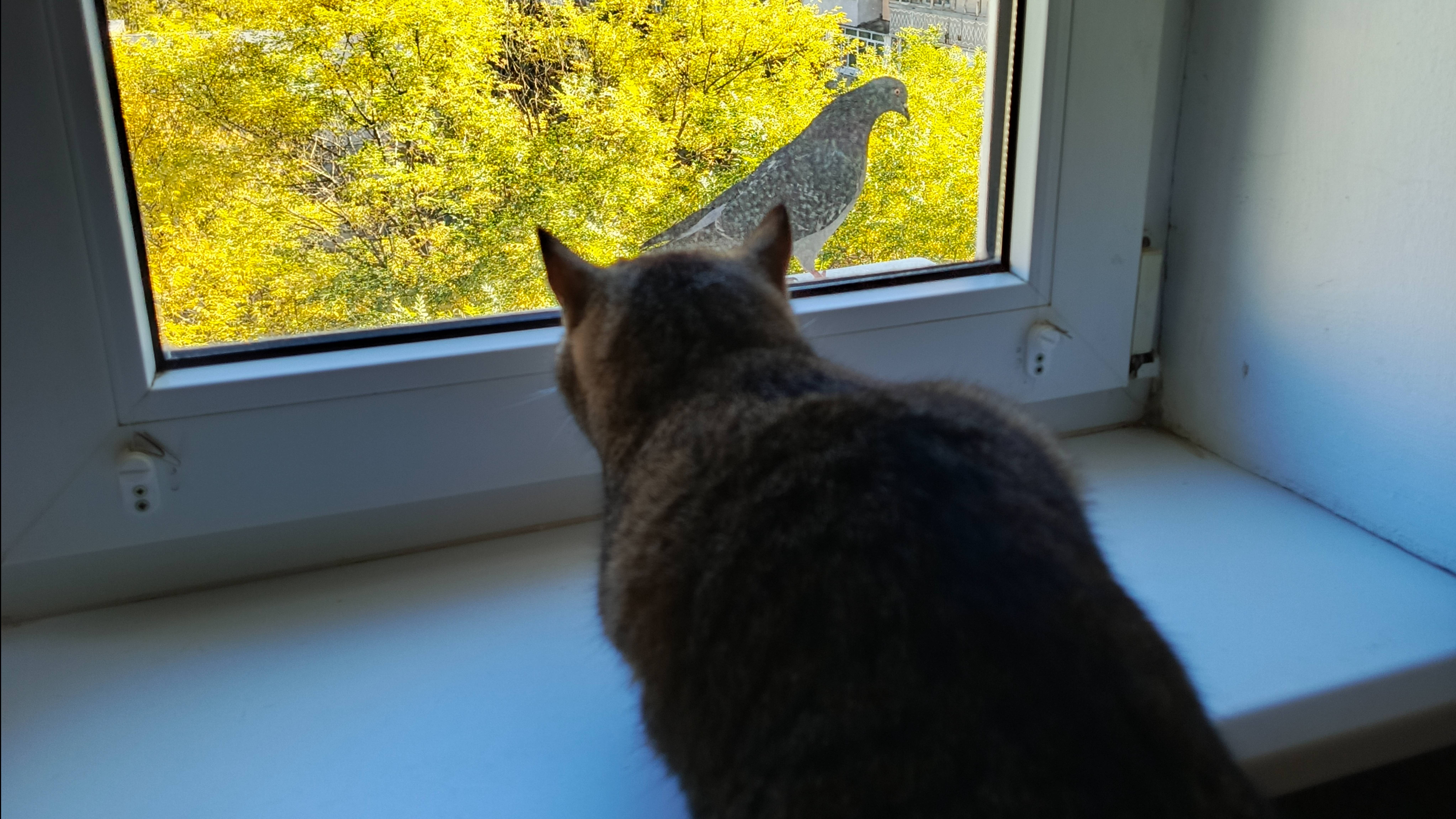 Кино в реальности смотреть онлайн