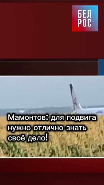 Мамонтов: для подвига нужно отлично звать своё дело #shorts смотреть онлайн