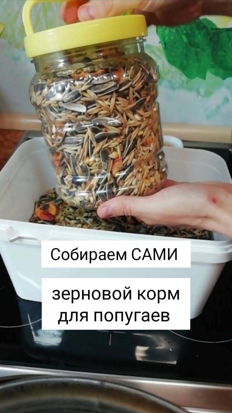 ПОЛЕЗНАЯ ИНФОРМАЦИЯ