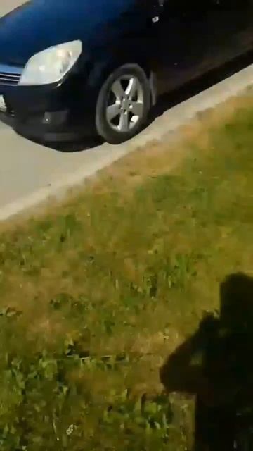 Гуляем смотреть онлайн