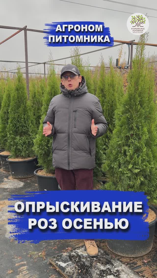 ОПРЫСКИВАНИЕ РОЗ ОСЕНЬЮ смотреть онлайн