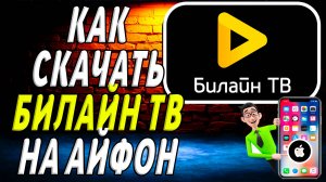 Как  скачать билайн тв на айфон