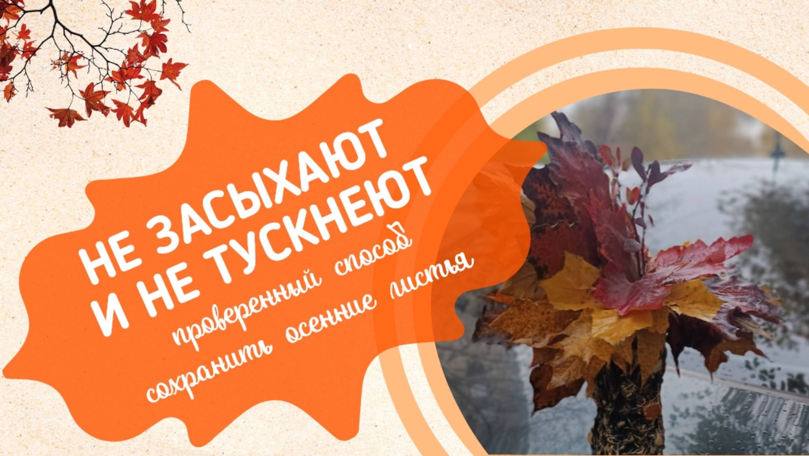 Сохранить листья надолго: проверенный способ с 2-мя компонентами. DIY осенний декор смотреть онлайн