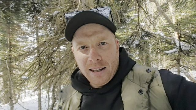 встреча опасном в лесу нло смотреть онлайн