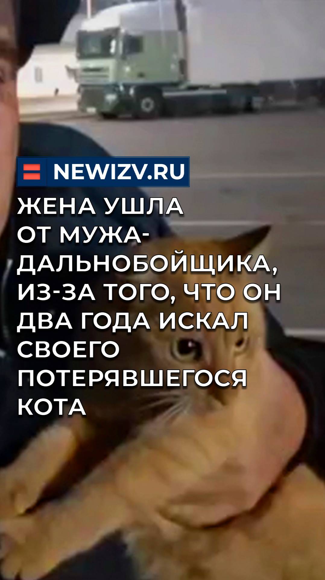 Жена ушла от мужа-дальнобойщика, из-за того, что он два года искал своего потерявшегося кота смотреть онлайн