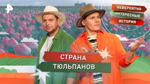 Страна тюльпанов — Невероятно интересные истории (28.10.2025)