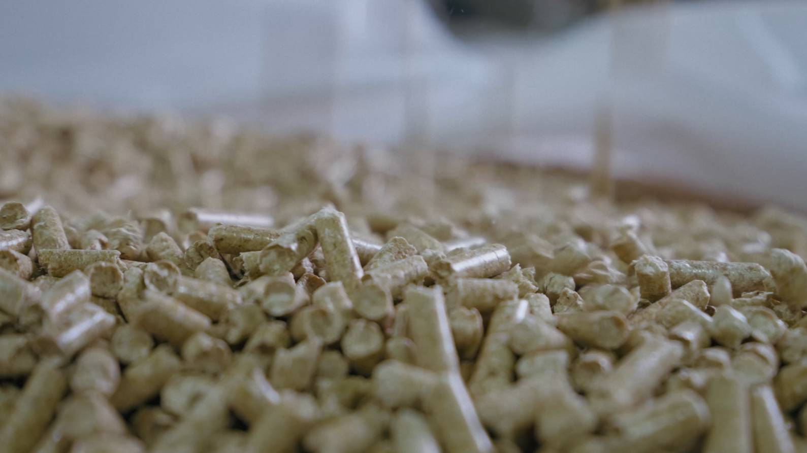 Russian Wood Alliance - Pellets - Video With Infographics