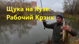 Рыбалка в Подмосковье. Щука на Яузе. Рыбалка Мытищи.