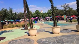 Как работать, если на выгрузке бардак, а отпуск — это зоопарк