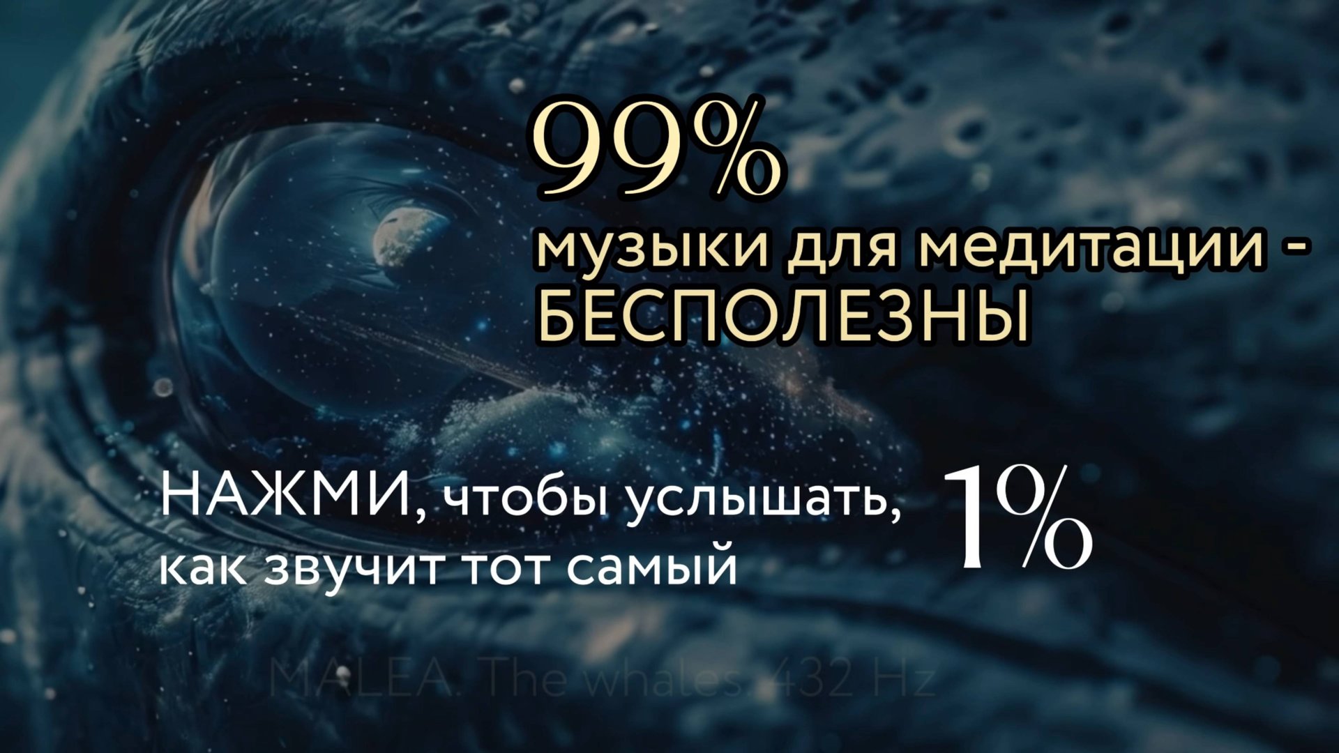 MALEA. Киты и 432 Гц живое взаимодействие с древнейшими существами океана и природным резонансом. смотреть онлайн