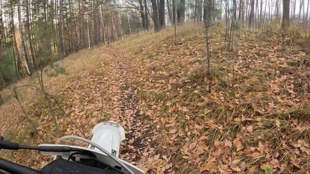 26.10.25 Покатушка по рамонскому району смотреть онлайн