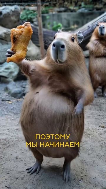 Жир нужен организму??? Или он накопит сам.