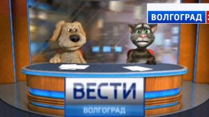 вести Волгоград 24 спецвыпуск
