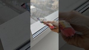 Распаковка вещичек для щенка☀🌺🌻💐