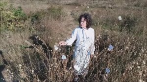 Слова (клип на песню) Елена Смолицкая