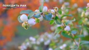 ИСЦЕЛЕНИЕ ОТ РАКА (ОНКОЛОГИИ)*Уменьшение  Боли*Скрытые Аффирмации*Саблиминал