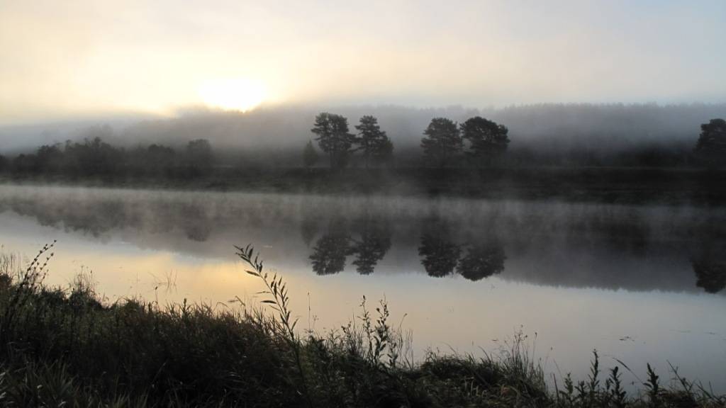 Волга сентябрь 2015 года.