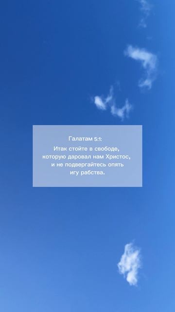 Стойте в свободе смотреть онлайн
